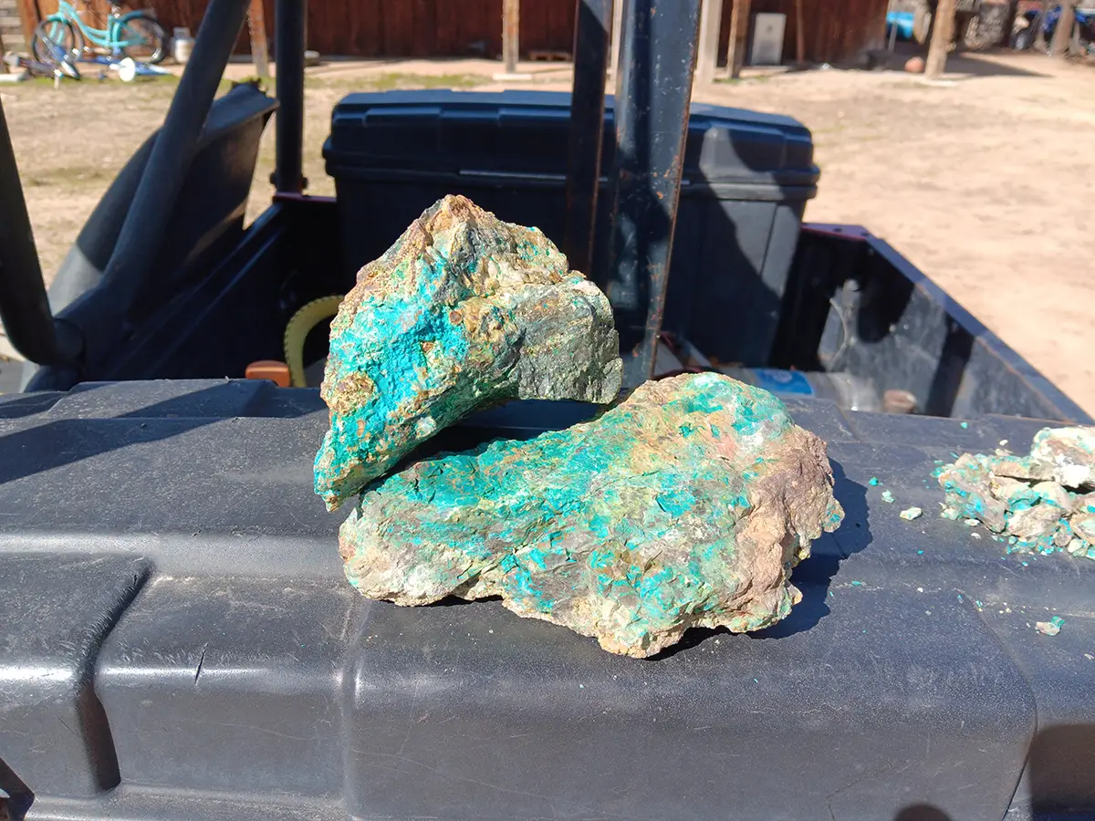 Wildhorse Project, Coca Cola Zone, Mineral County Nevada