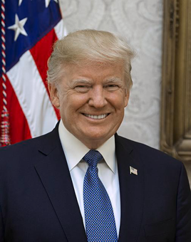 trump picture